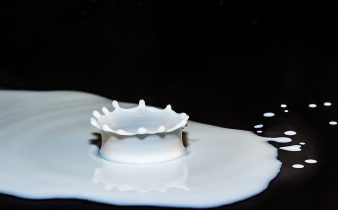 Leche si, leche no | Mitos sobre el consumo de lácteos - Sweetter