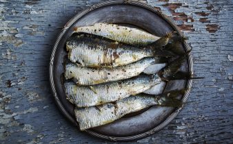 Sardina es el pescado bueno y barato por excelencia en México, estos son sus beneficios - Sweetter